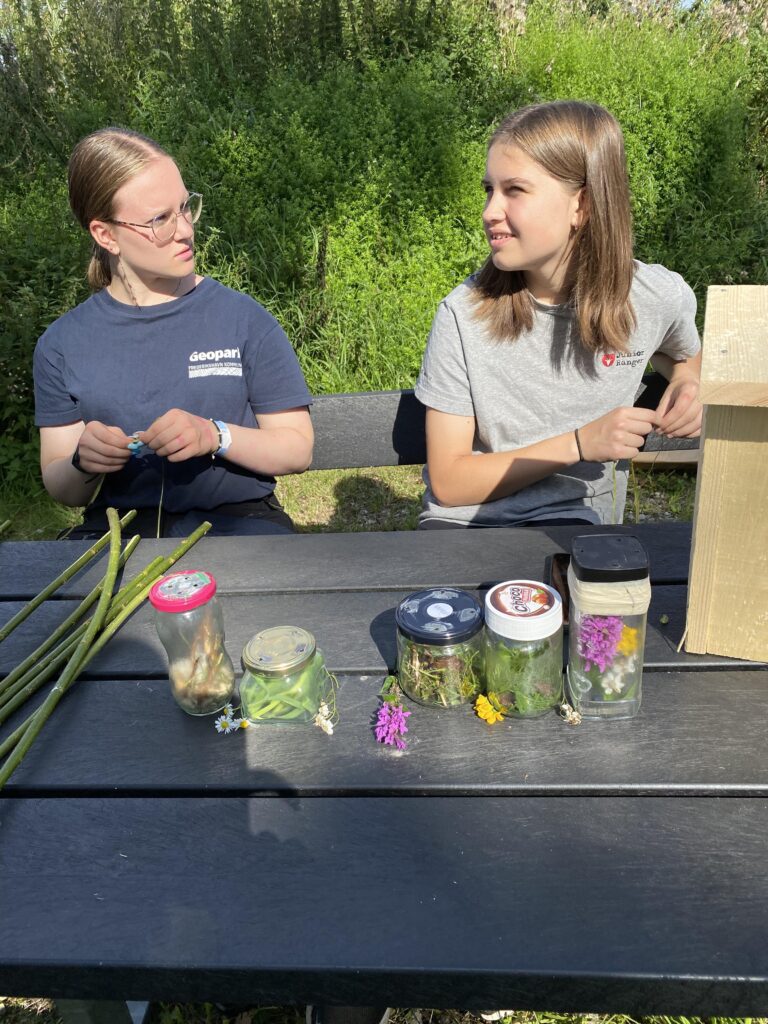 Sofie og Signe har indsamlet insekter, og er klar til at fortælle om, hvorfor vi skal passe på dem.